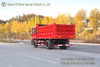4×2 Dongfeng TInajin Flathead Dump Truck_red Convertible Off-Road Dump Truck 