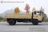 Dongfeng Flat-Front Cab with Sleeper Cabin 4x2 Off-Road Cargo Truck_Rear Twin-Wheel Off-Road Transport Vehicle