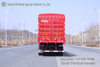 Dongfeng 8x4 Stake Truck_8x4 Four-front-eight-rear Export Version Stake Truck_9.6m Fence Cargo Truck