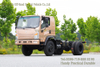 Rose Gold 4WD Light-Duty Truck Chassis _170-horsepower Off-road Chassis_Chassis Customization Manufacturer